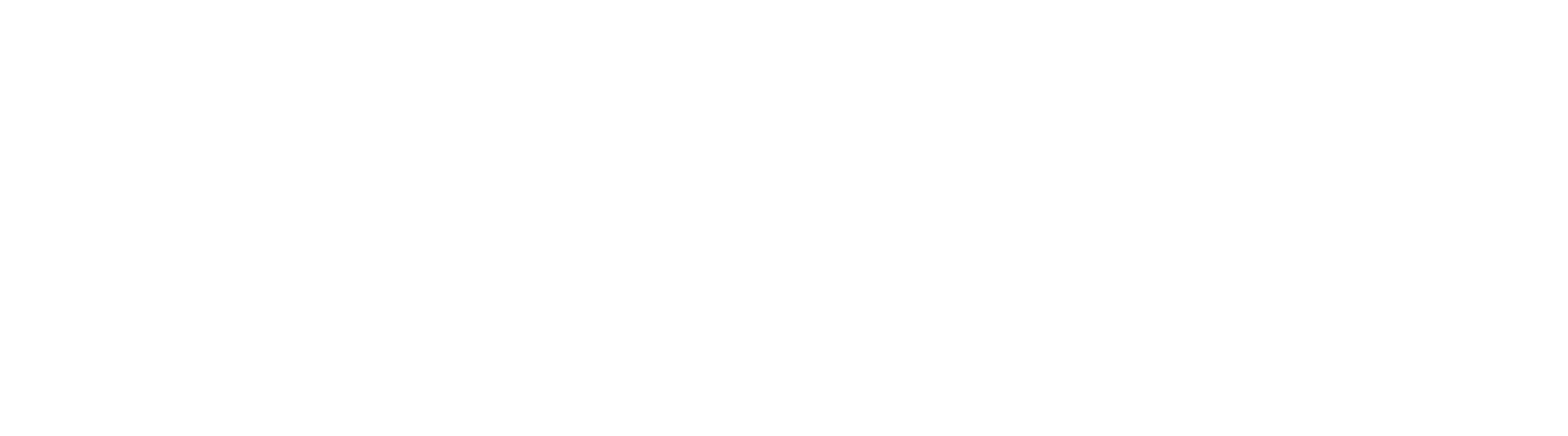 Bitflux Logo